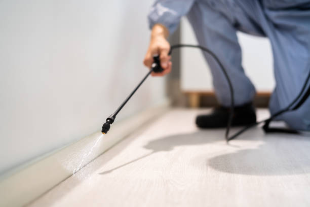 Licensed Pest Control service in Feather Sound, FL - Show Me Pest Control