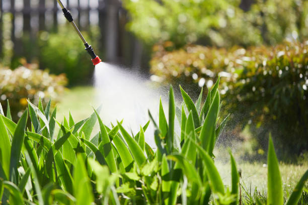 24/7 Emergency Mosquito Control experts in Feather Sound, FL