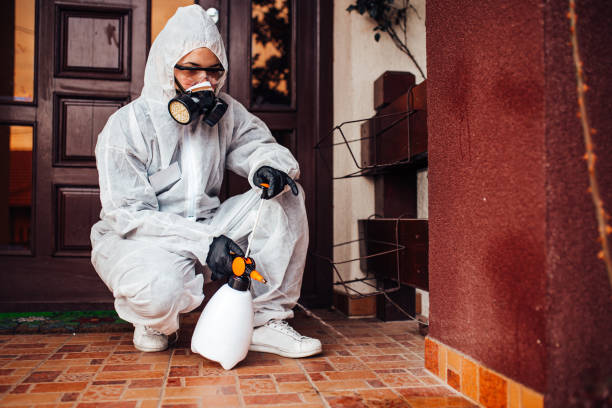 Reliable Mosquito Control contractor in Feather Sound, FL by Show Me Pest Control