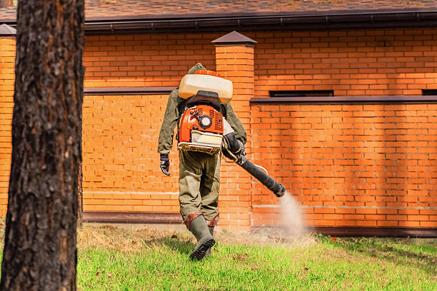 Top rated local Mosquito Control specialists in Feather Sound, FL